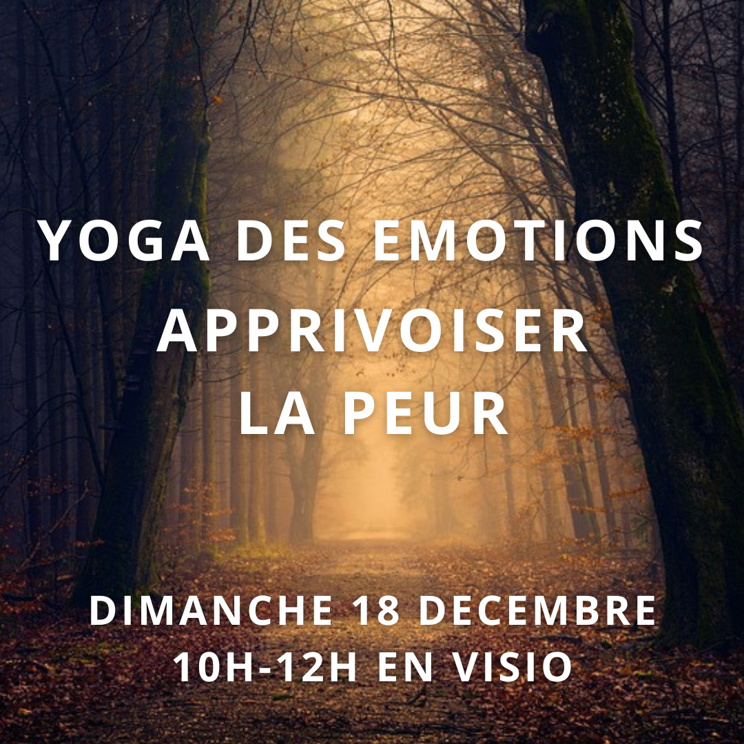 YOGA DES EMOTIONS - APPRIVOISER LA PEUR - Dimanche 18 décembre 10h à 12h